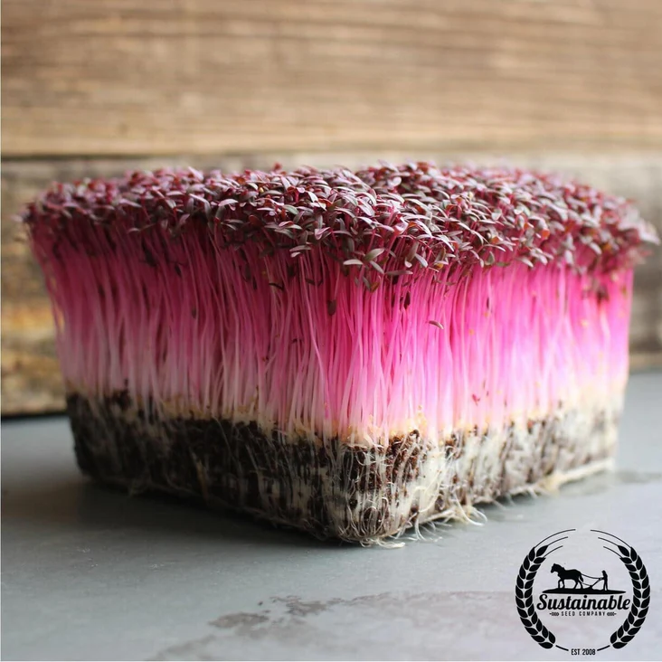 Amaranth
